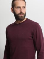 Ανδρική Λεπτή Πλεκτή Μπλούζα 10-667 Μπορντό - Image 2
