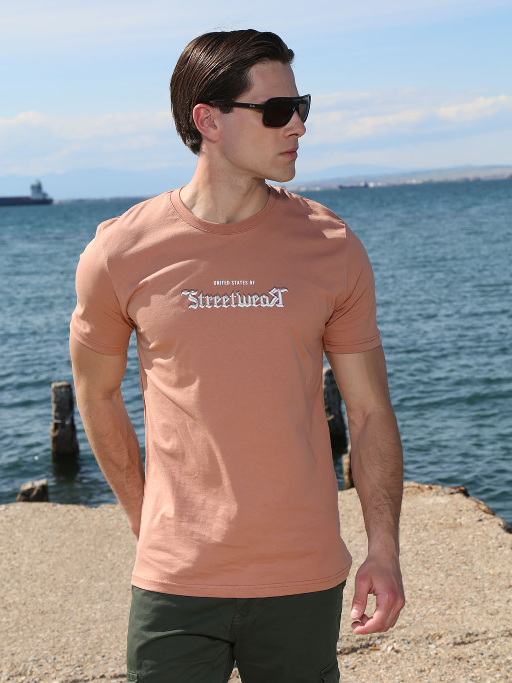 10-685 DUSTY (3) copy Ανδρικό Βαμβακερό Κοντομάνικο T-shirt 10-685 Dusty - Image 1