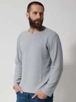 Ανδρική Μπλούζα Μακρυμάνικη DANIEL 206100 Γκρι